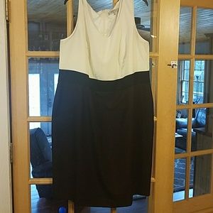 Kasper black and white dress